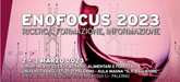 Enofocus 2023